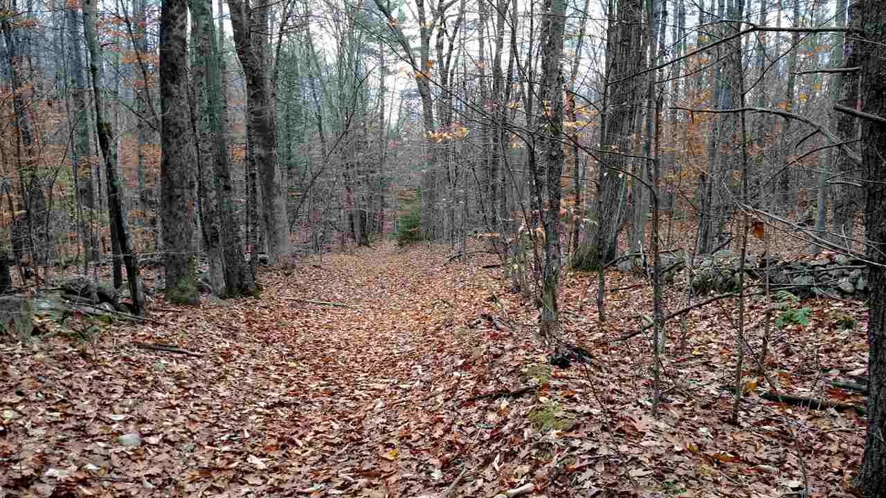 1 Franklin Road Salisbury, NH 03268 - Photo 5 of 28
