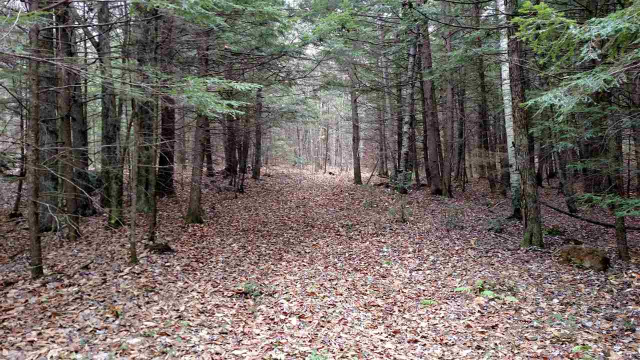 1 Franklin Road Salisbury, NH 03268 - Photo 6 of 28