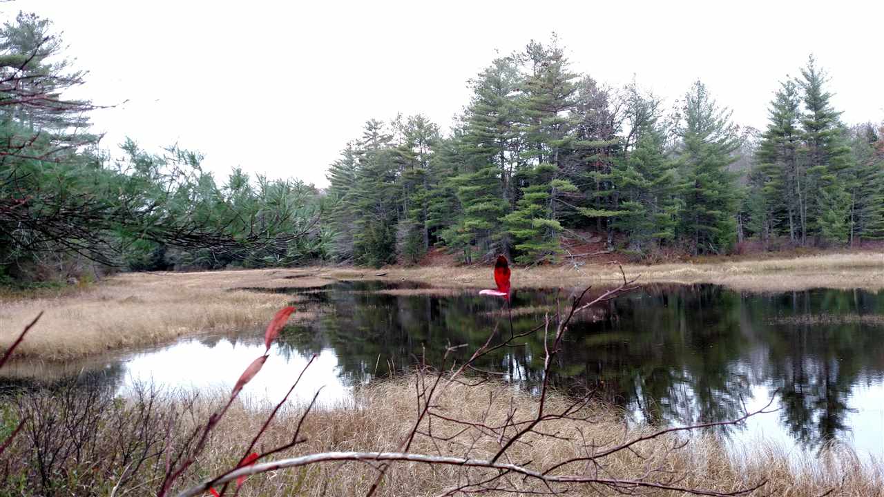 1 Franklin Road Salisbury, NH 03268 - Photo 9 of 28