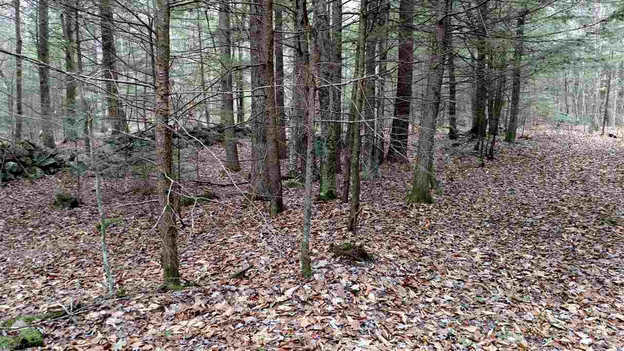 1 Franklin Road Salisbury, NH 03268 - Photo 10 of 28