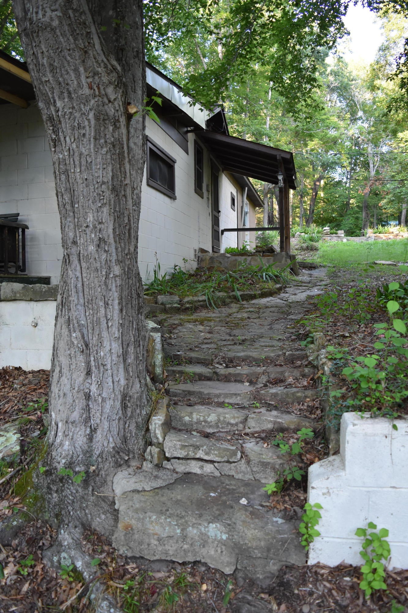 1127 Bacon Falls Road Talcott, WV 24981 - Photo 23 of 66 Gallery Image 23