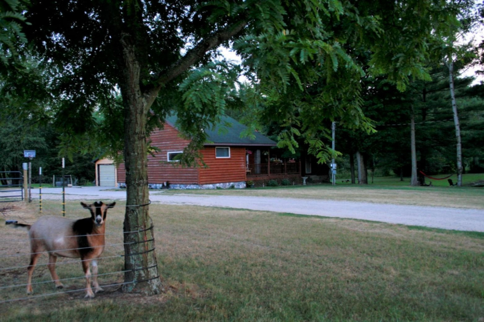 3993 West Waterwheel Road Northwest Stanton, MI 48888 - Photo 16 of 20 _MG_4601 - Copy