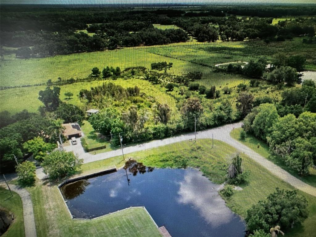 345 Cowhouse Road Lorida, FL 33857 - Photo 12 of 16 a view of a garden with a lot of trees
