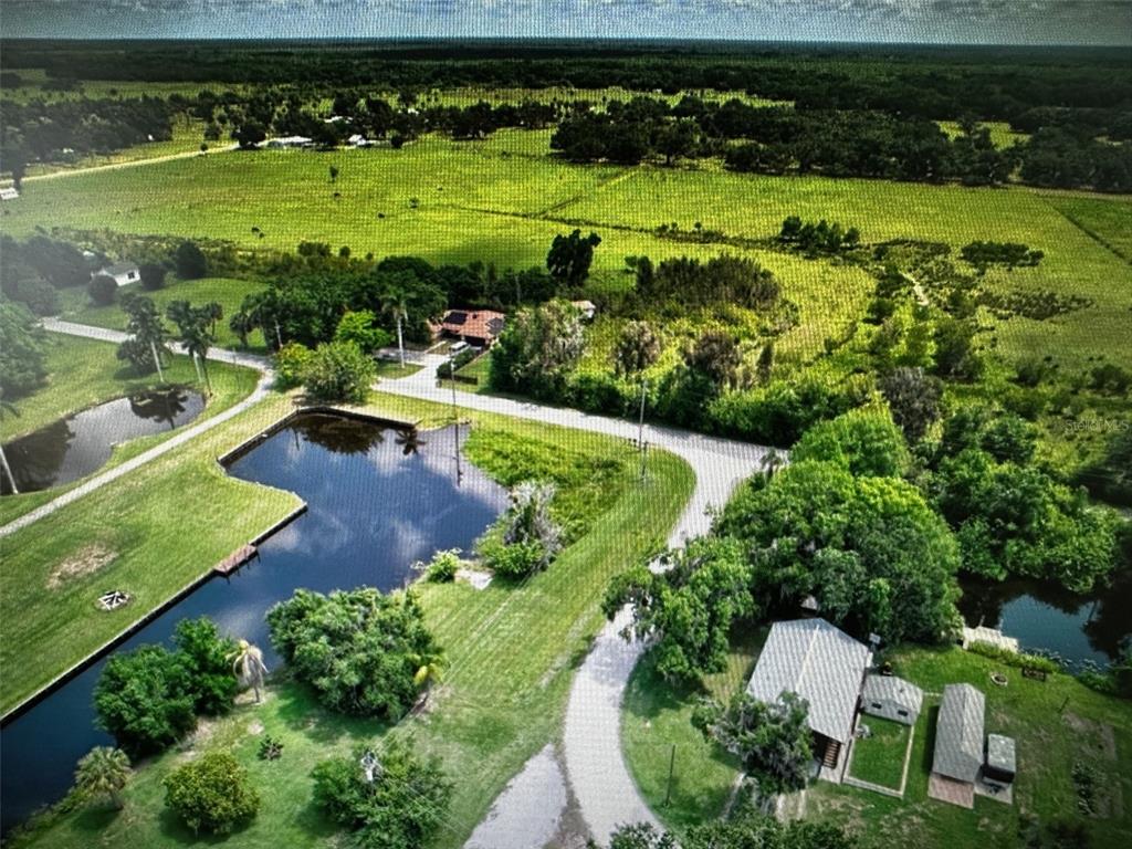 345 Cowhouse Road Lorida, FL 33857 - Photo 13 of 16 a view of a swimming pool with a yard