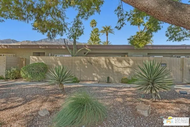 a view of a yard with a tree