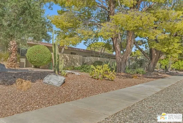 a view of a lake with a tree