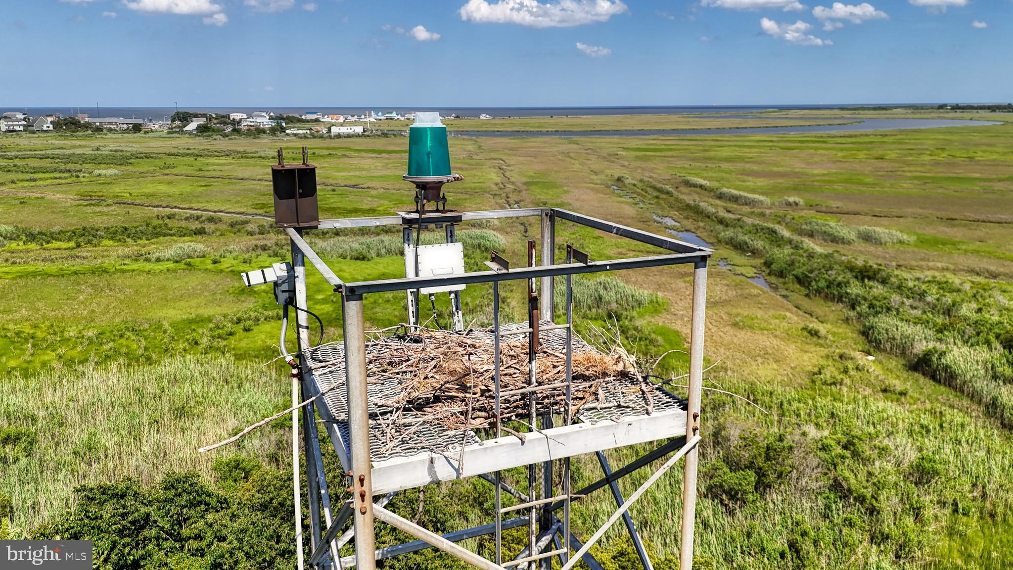 Bowers Beach Road Frederica, DE 19946 - Photo 5 of 18