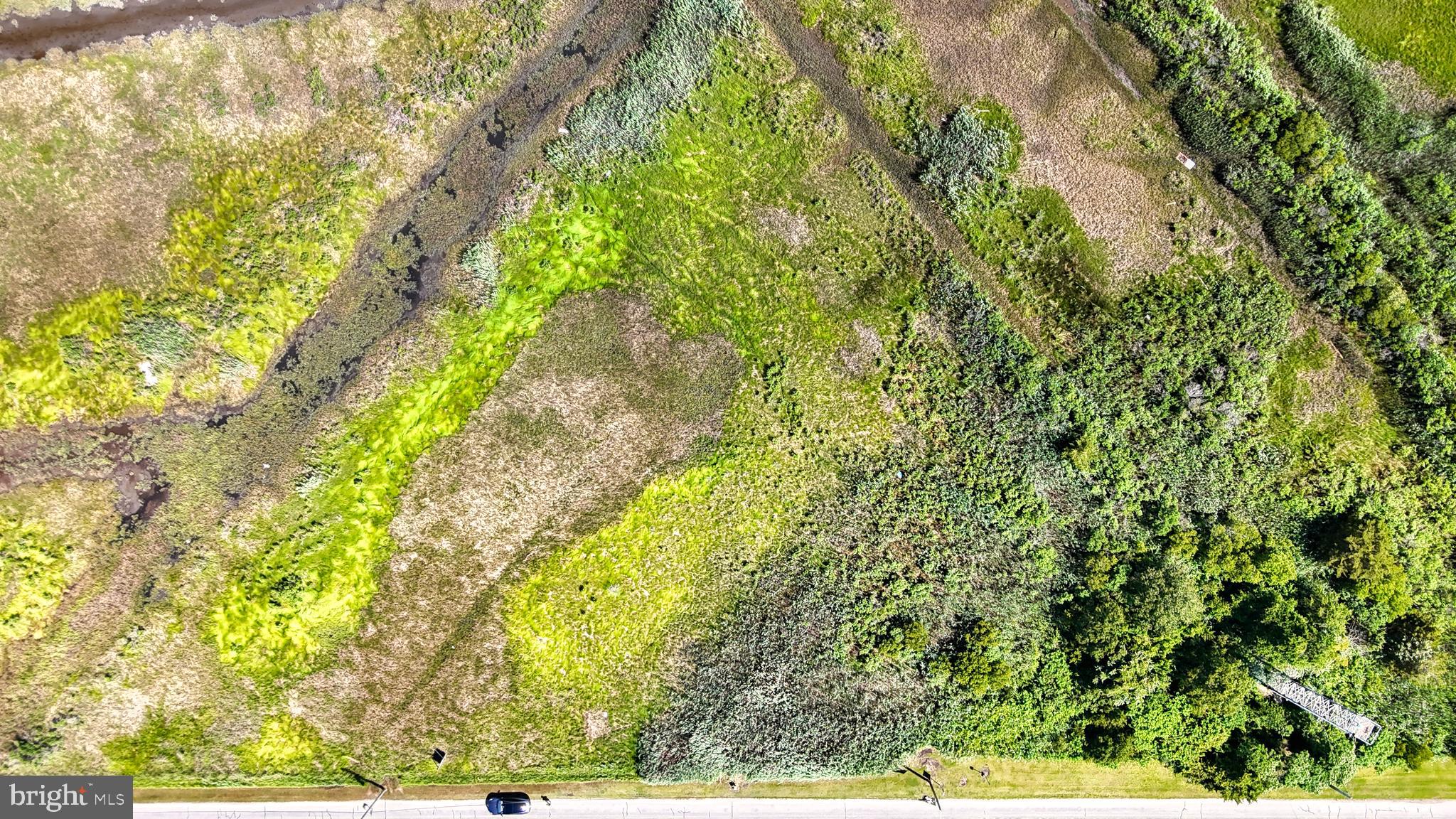 Bowers Beach Road Frederica, DE 19946 - Photo 10 of 18 a view of a yard
