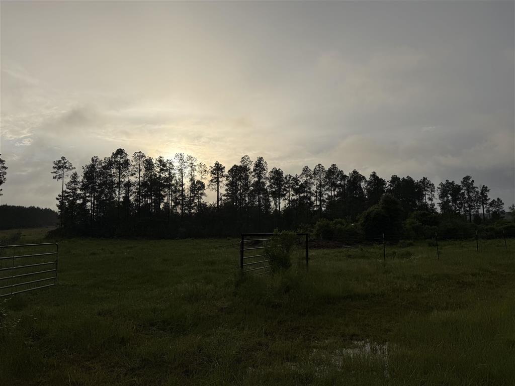 James Manning Road Deridder, LA 70634 - Photo 7 of 10