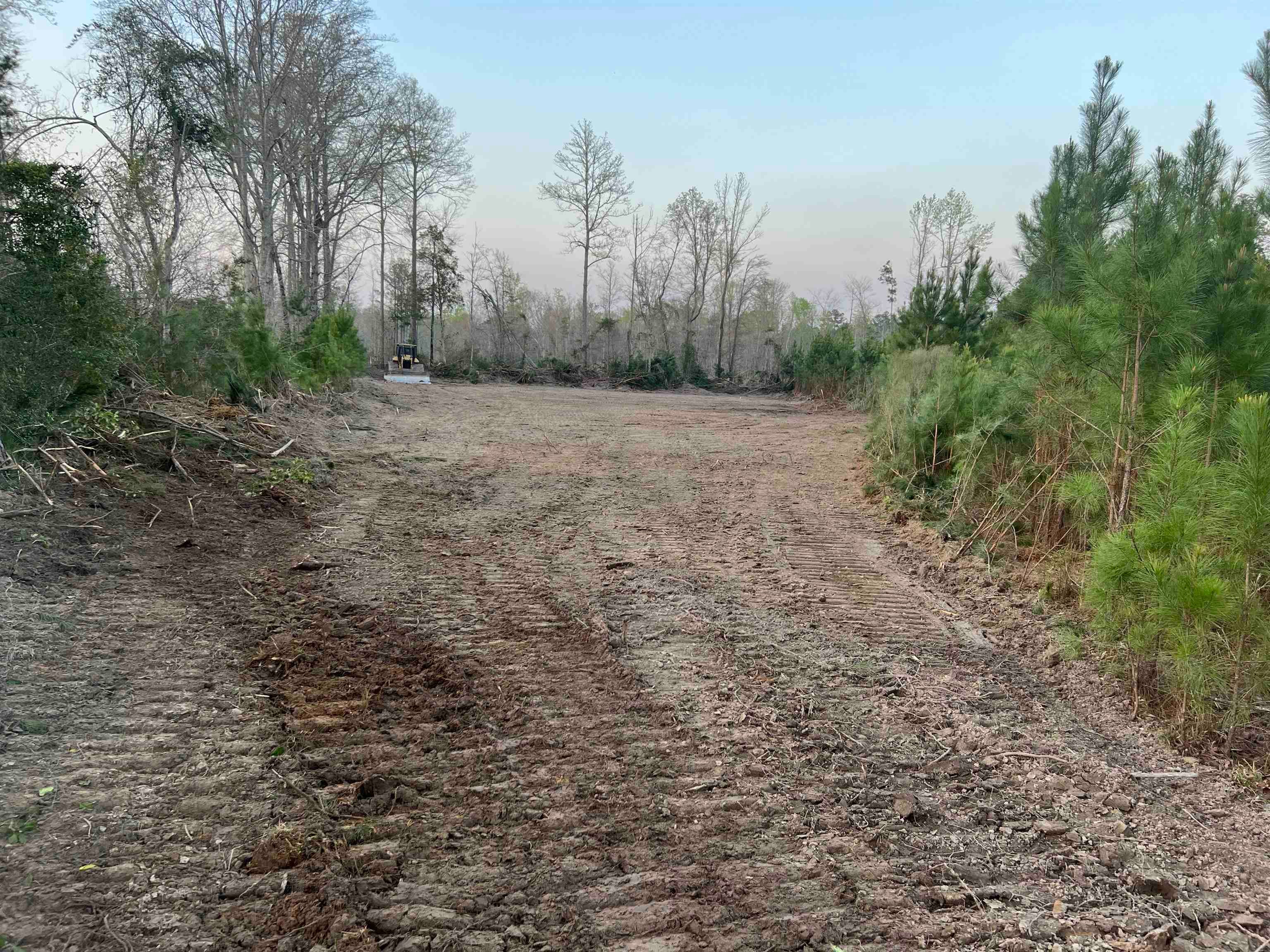 0 Cedar Cut Road Rutledge, AL 36071 - Photo 28 of 35 Gallery Image 28