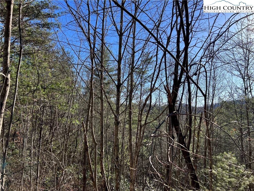 Lot 85 Woodpecker Road Purlear, NC 28665 - Photo 3 of 26 a view of a yard