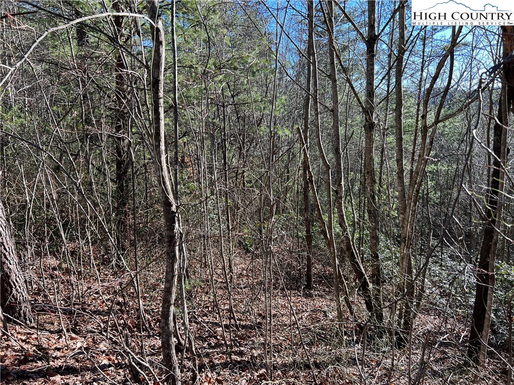 Lot 85 Woodpecker Road Purlear, NC 28665 - Photo 4 of 26 a view of a yard