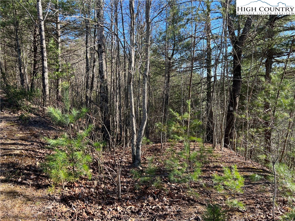 Lot 85 Woodpecker Road Purlear, NC 28665 - Photo 6 of 26 a view of yard