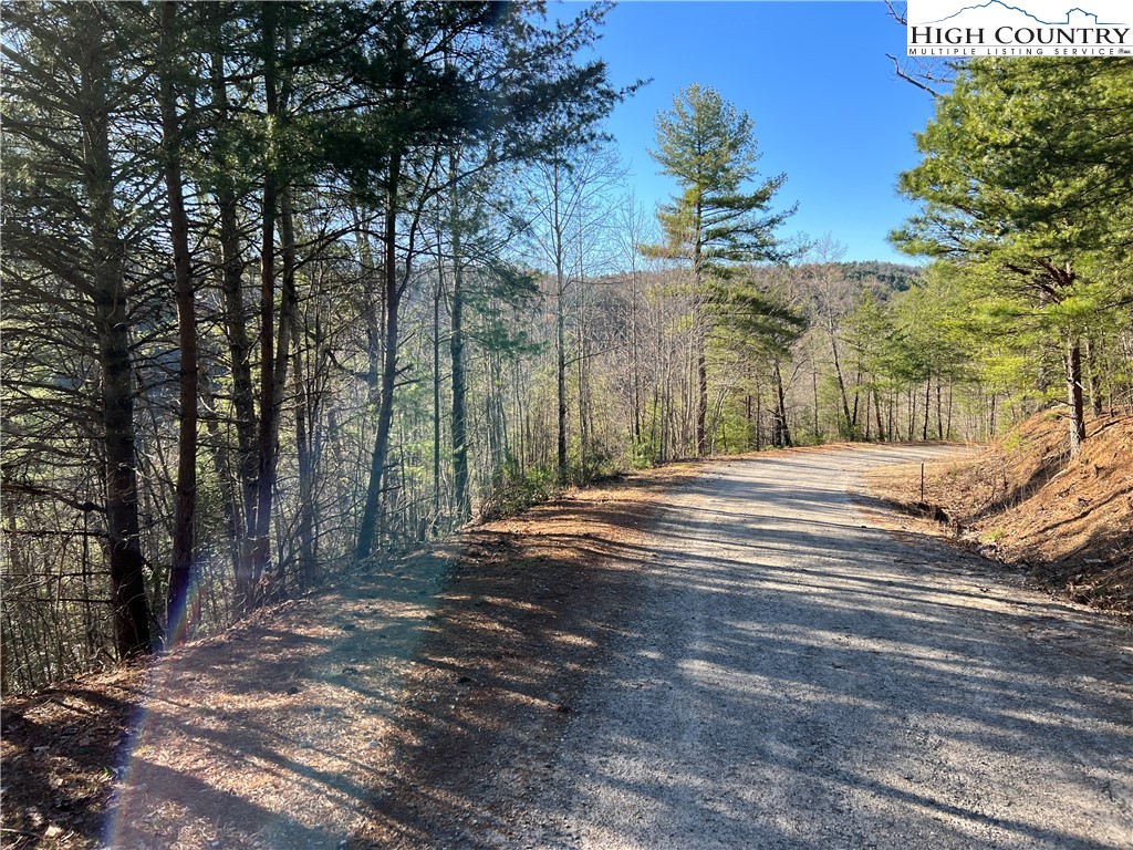 Lot 85 Woodpecker Road Purlear, NC 28665 - Photo 7 of 26 a view of a yard with large trees