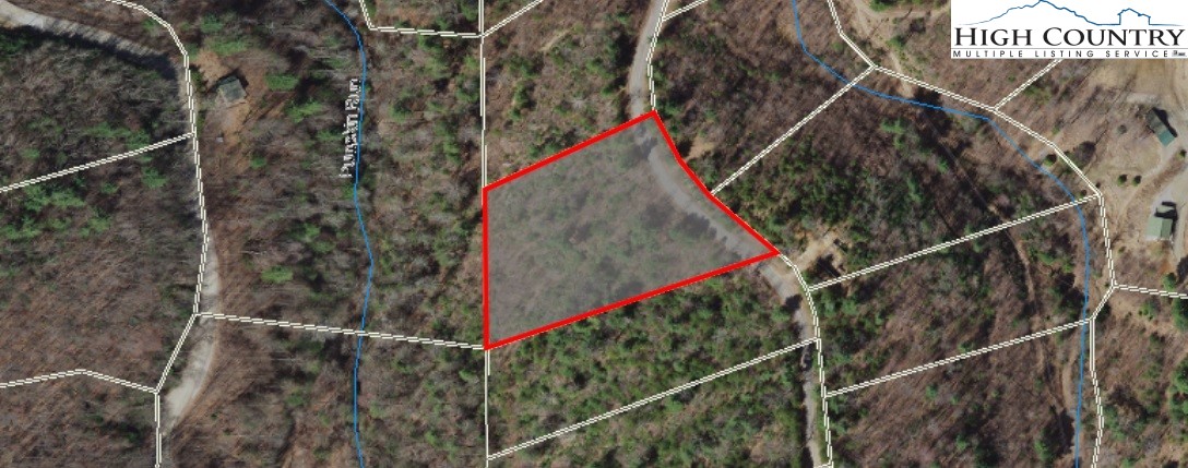 Lot 85 Woodpecker Road Purlear, NC 28665 - Photo 8 of 26