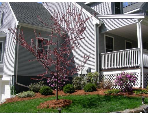 64 Sugar Road Bolton, MA 01740 - Photo 29 of 30 a view of a house with a yard and flower garden