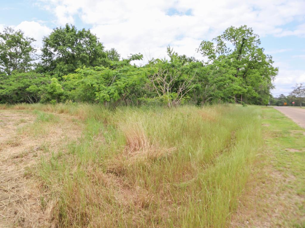 -36 Acres Rice Road Dothan, AL 36301 - Photo 5 of 6