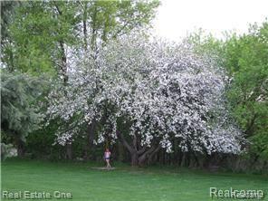 3311 Landview Drive Rochester, MI 48306 - Photo 23 of 23 3311 land tree.jpg
