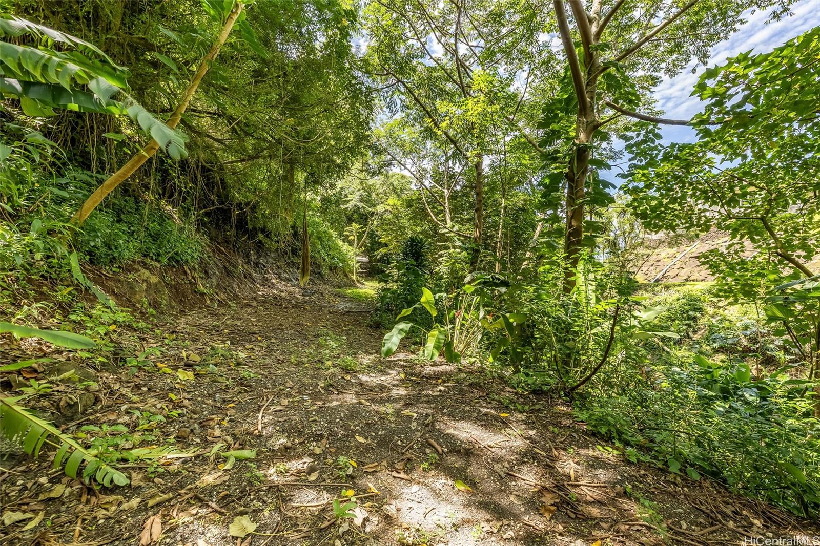 2640 Lai Road, Unit E Honolulu, HI 96816 - Photo 12 of 25 a view of a yard with a tree