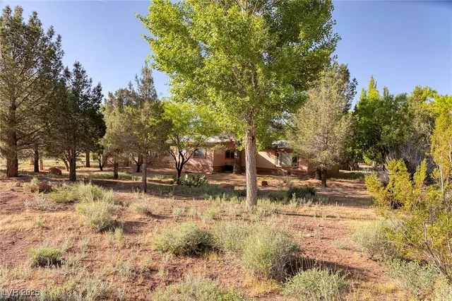 $2,450,000 | 14525 Heyer Way, Las Vegas, NV 89161