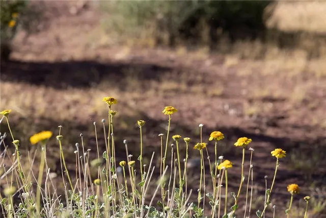 $2,450,000 | 14525 Heyer Way, Las Vegas, NV 89161