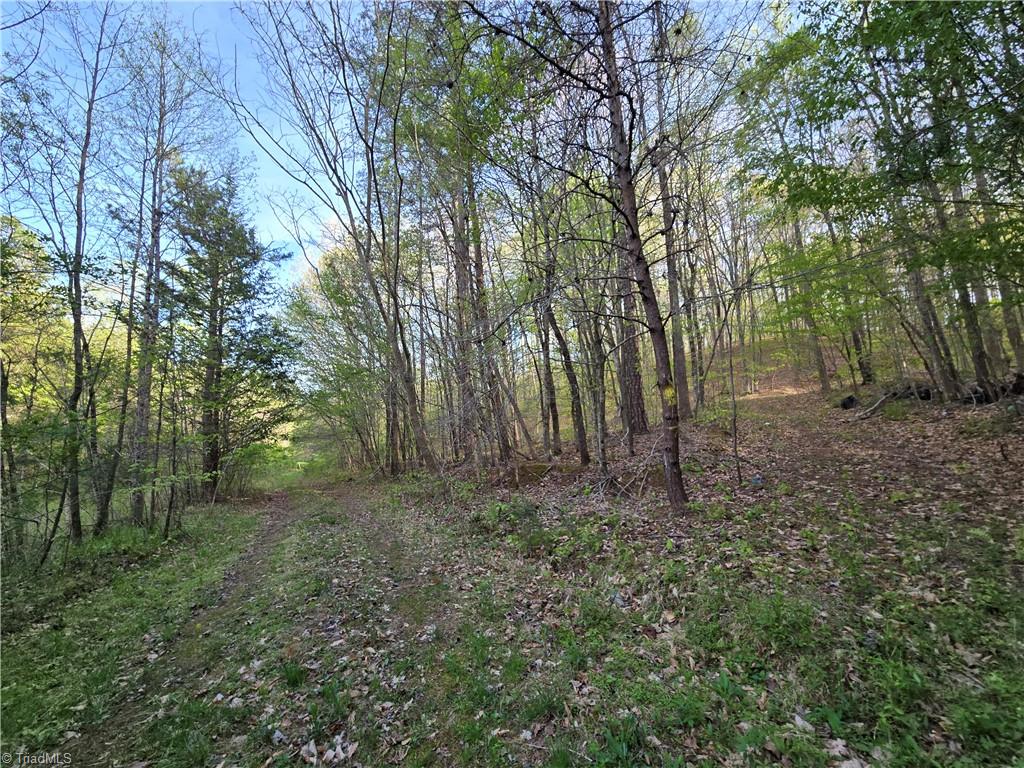 0 Hoover Hill Road Asheboro, NC 27205 - Photo 15 of 29