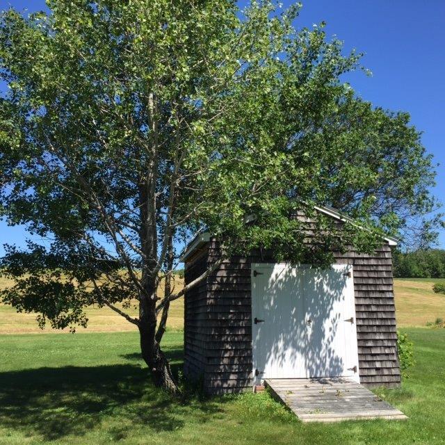 263 Boom Road Saco, ME 04072 - Photo 21 of 23 Shed in Back Yard