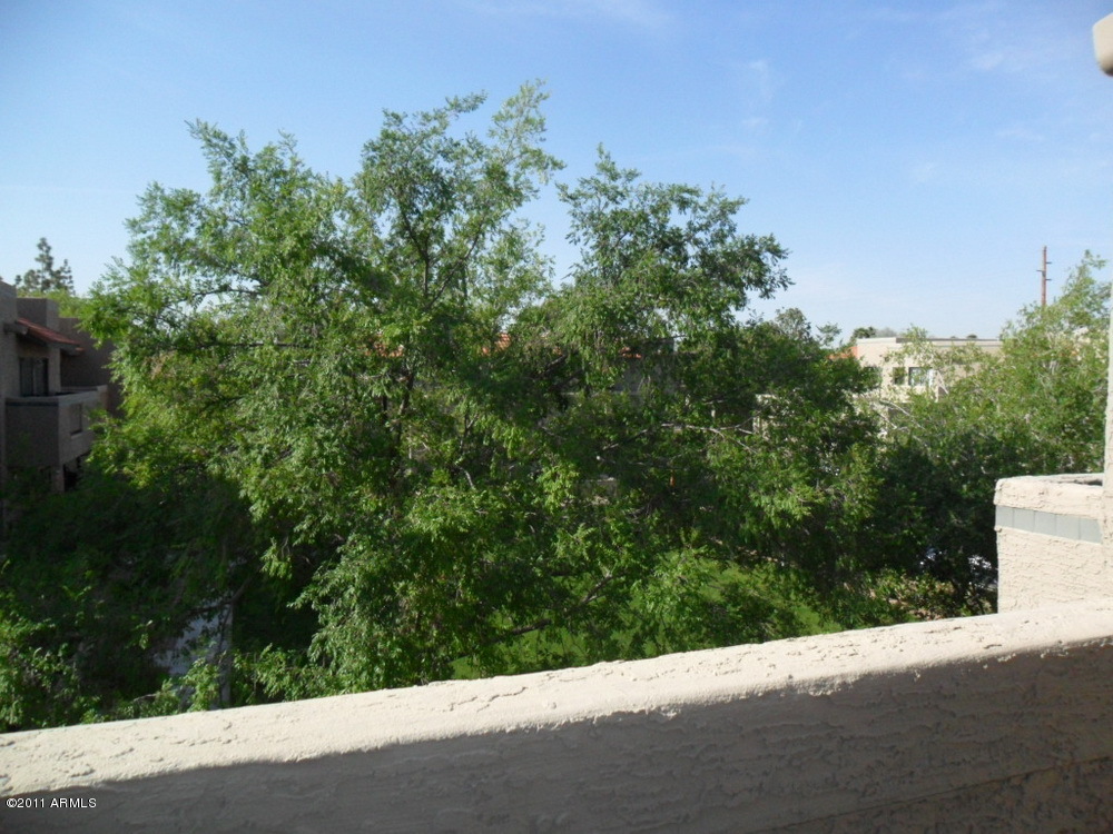 985 North Granite Reef Road, Unit 159 Scottsdale, AZ 85257 - Photo 31 of 37 Outside view from Master BR