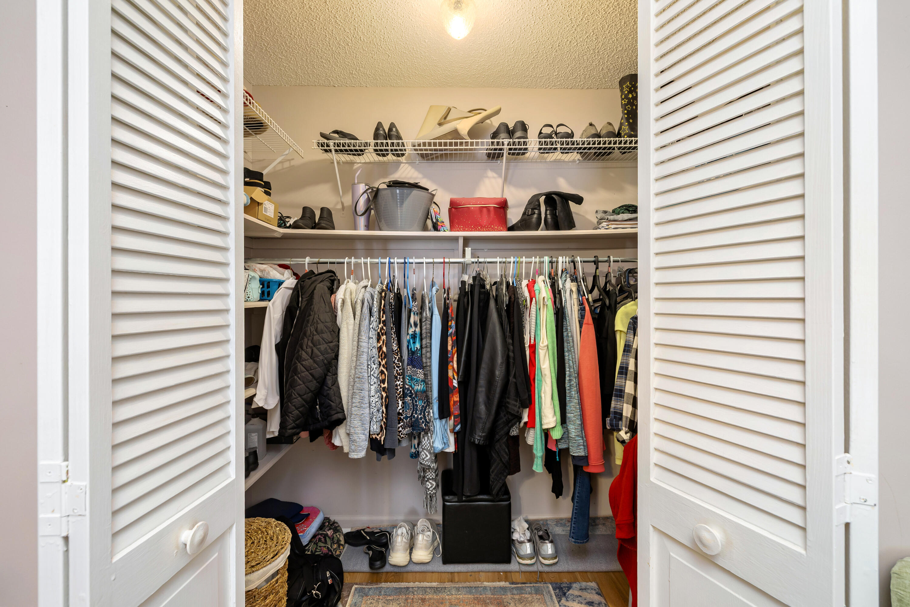 23 Peter Collinson Road Santee, SC 29142 - Photo 33 of 38 34