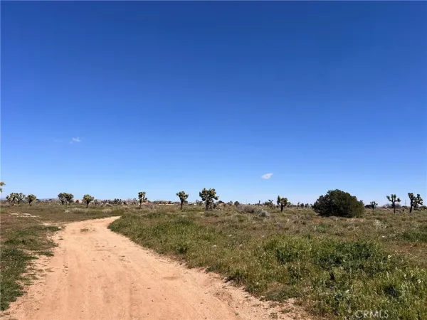 a view of a road with an ocean view