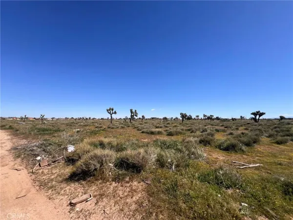 a view of a dry field