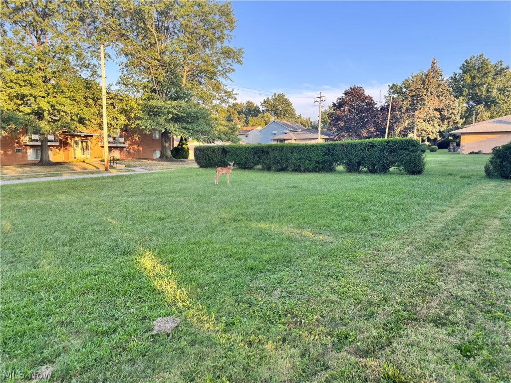 2907 Snow Road Parma, OH 44134 - Photo 15 of 17