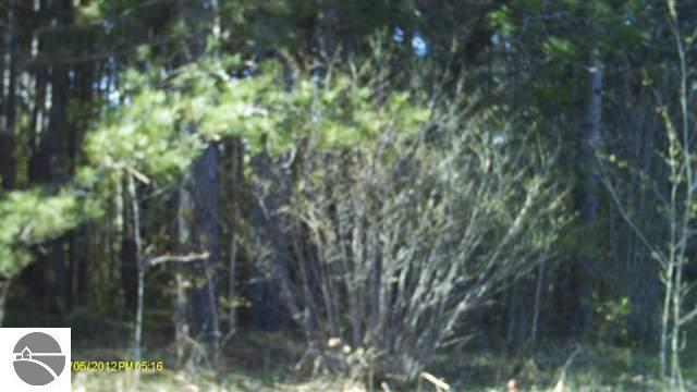 Healey Lake Road Thompsonville, MI 49683 - Photo 7 of 14 1735748-8.JPG
