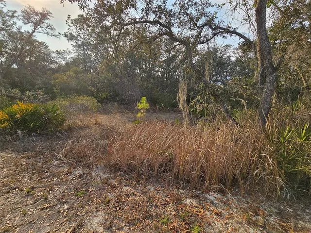 $25,000 | 34310 Manuel Street, Webster, FL 33597