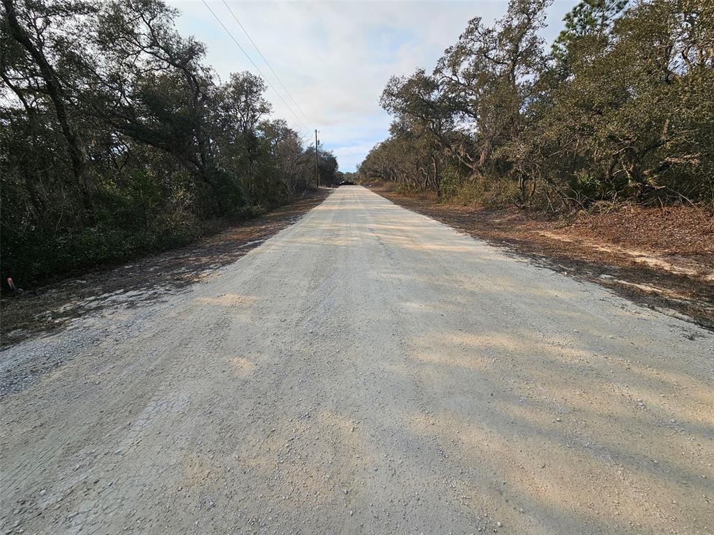 34310 Manuel Street Webster, FL 33597 - Photo 12 of 16