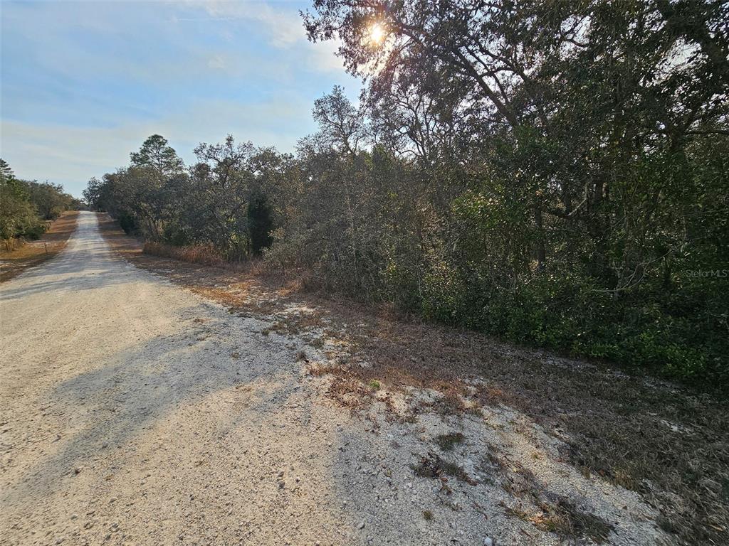 34310 Manuel Street Webster, FL 33597 - Photo 13 of 16