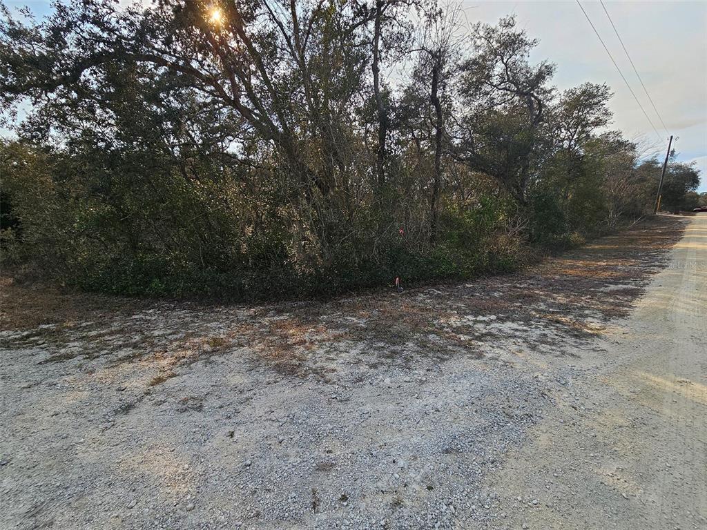 34310 Manuel Street Webster, FL 33597 - Photo 2 of 16