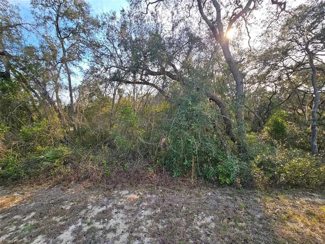 $25,000 | 34310 Manuel Street, Webster, FL 33597