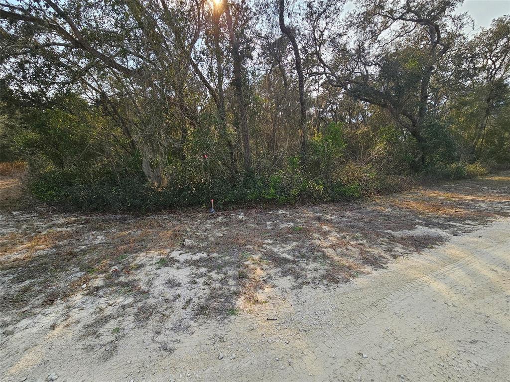 34310 Manuel Street Webster, FL 33597 - Photo 6 of 16