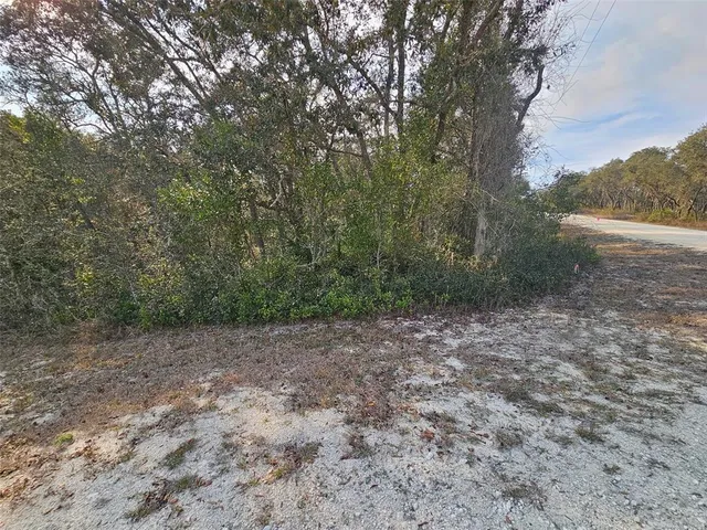$25,000 | 34310 Manuel Street, Webster, FL 33597