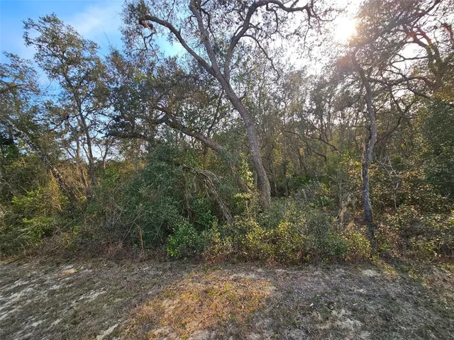 $25,000 | 34310 Manuel Street, Webster, FL 33597