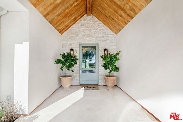 a potted plant sitting in front of a house