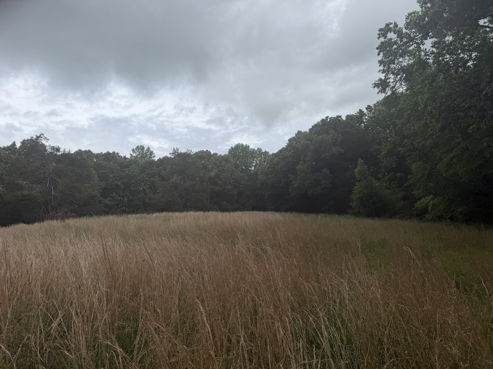 0 Brown Road Bon Aqua, TN 37025 - Photo 28 of 56 Gallery Image 28