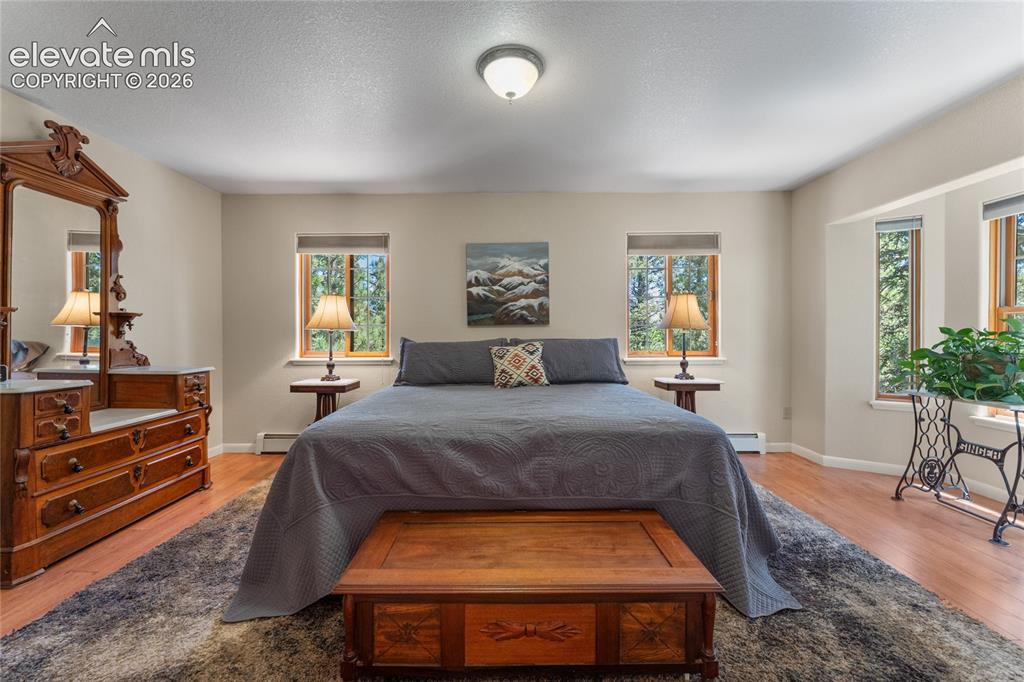 657 Spring Valley Drive Divide, CO 80814 - Photo 8 of 43 Spacious room featuring wood-finish flooring, light-toned walls, multiple windows with wood trim, and a ceiling-mounted light fixture
