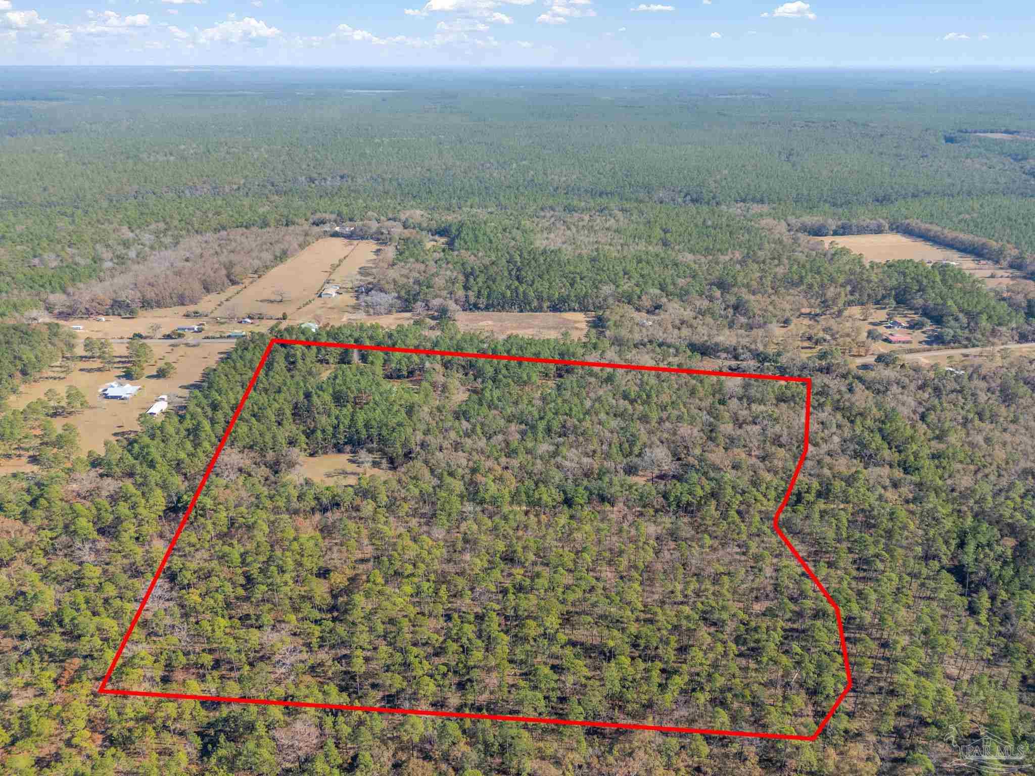 9281 Pleasant Home Church Road Holt, FL 32564 - Photo 11 of 43 Gallery Image 11