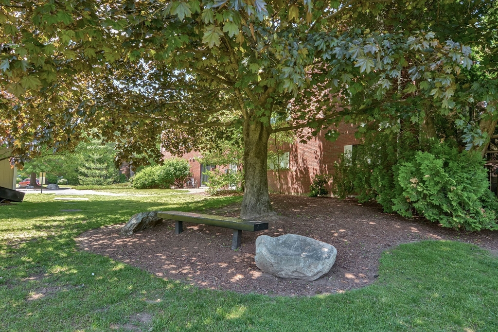 294 Codman Hill Road, Unit 33F Boxborough, MA 01719 - Photo 19 of 31 a view of a backyard with fountain plants and large tree