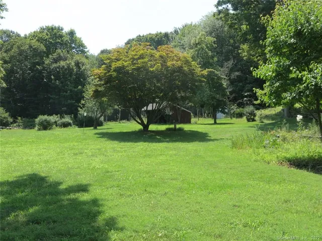 a view of green field with trees in the background
