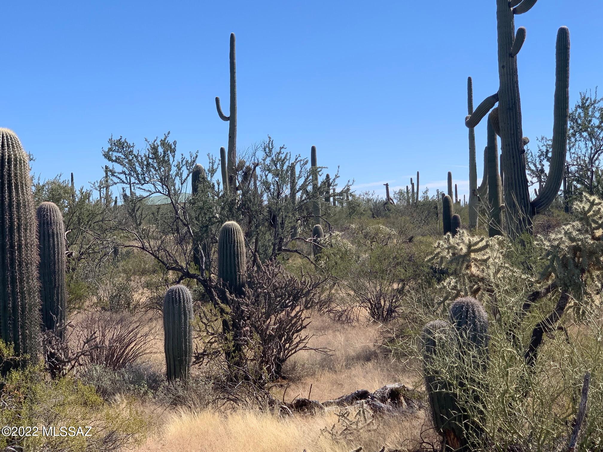 8.81-acres West Mile Wide Road, Unit A Tucson, AZ 85743 - Photo 10 of 16