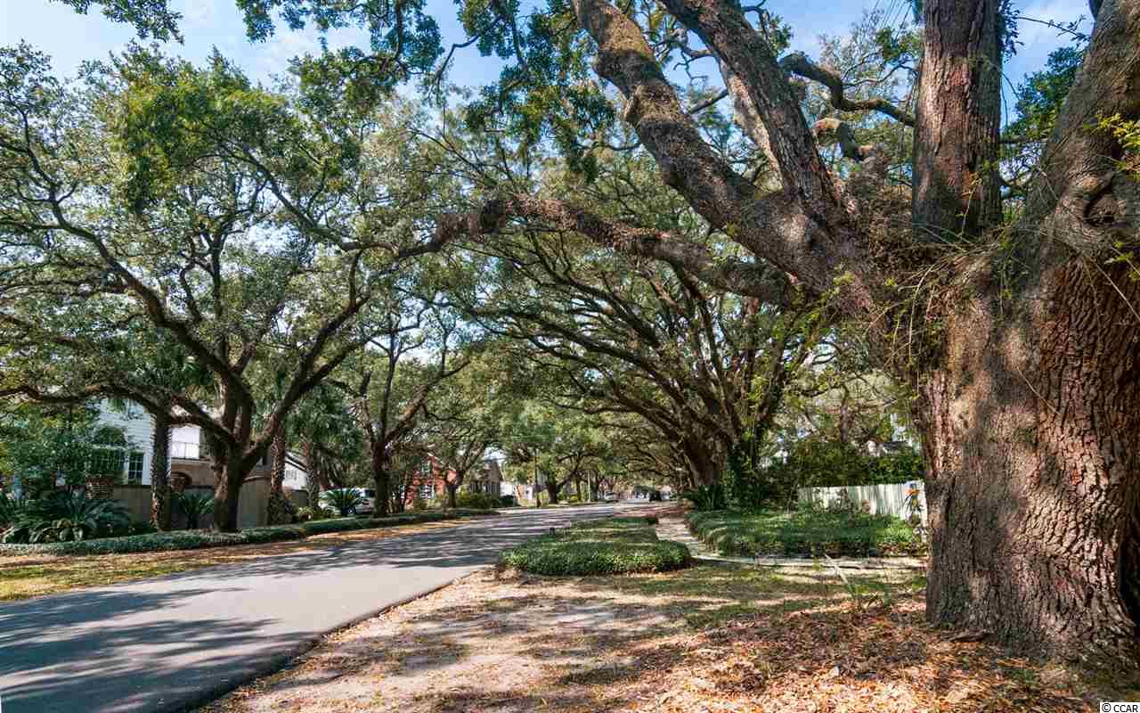 220 Duke Street Georgetown, SC 29440 - Photo 22 of 22 Gallery Image 22