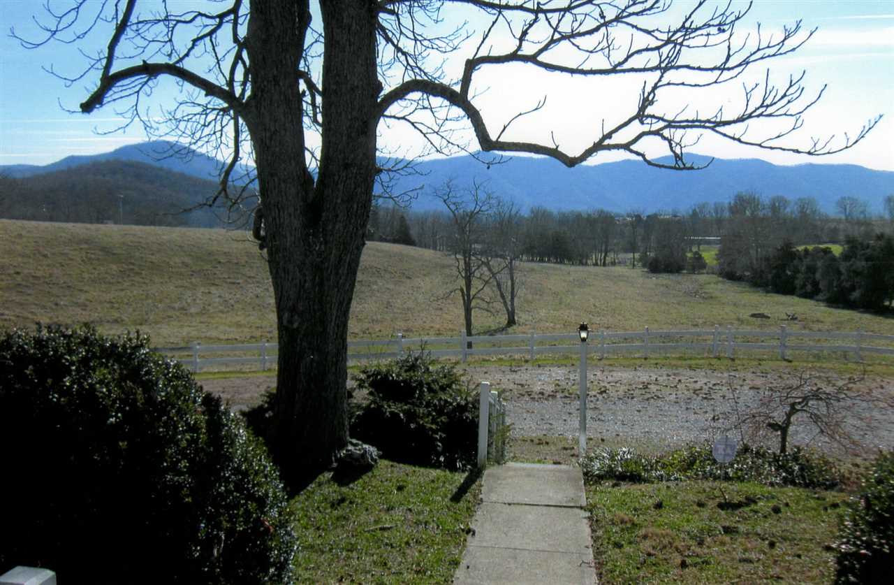 258 Red Hill Road Fairfield, VA 24435 - Photo 11 of 47 a view of a yard with an tree
